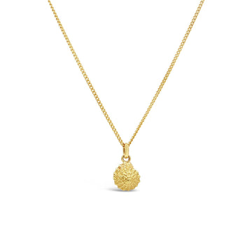 Enhance your style with our exquisite 9ct yellow gold spiral 2 shell pendant from Latitude Jewellers.