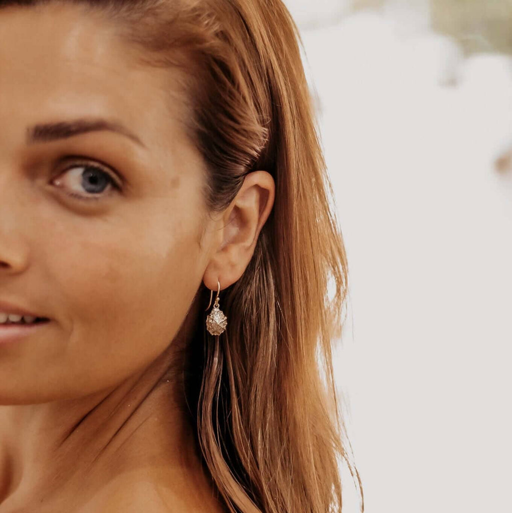 Limpet Shell Earrings