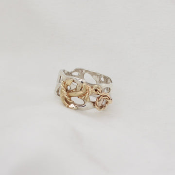 Ocean's Anchor Ring