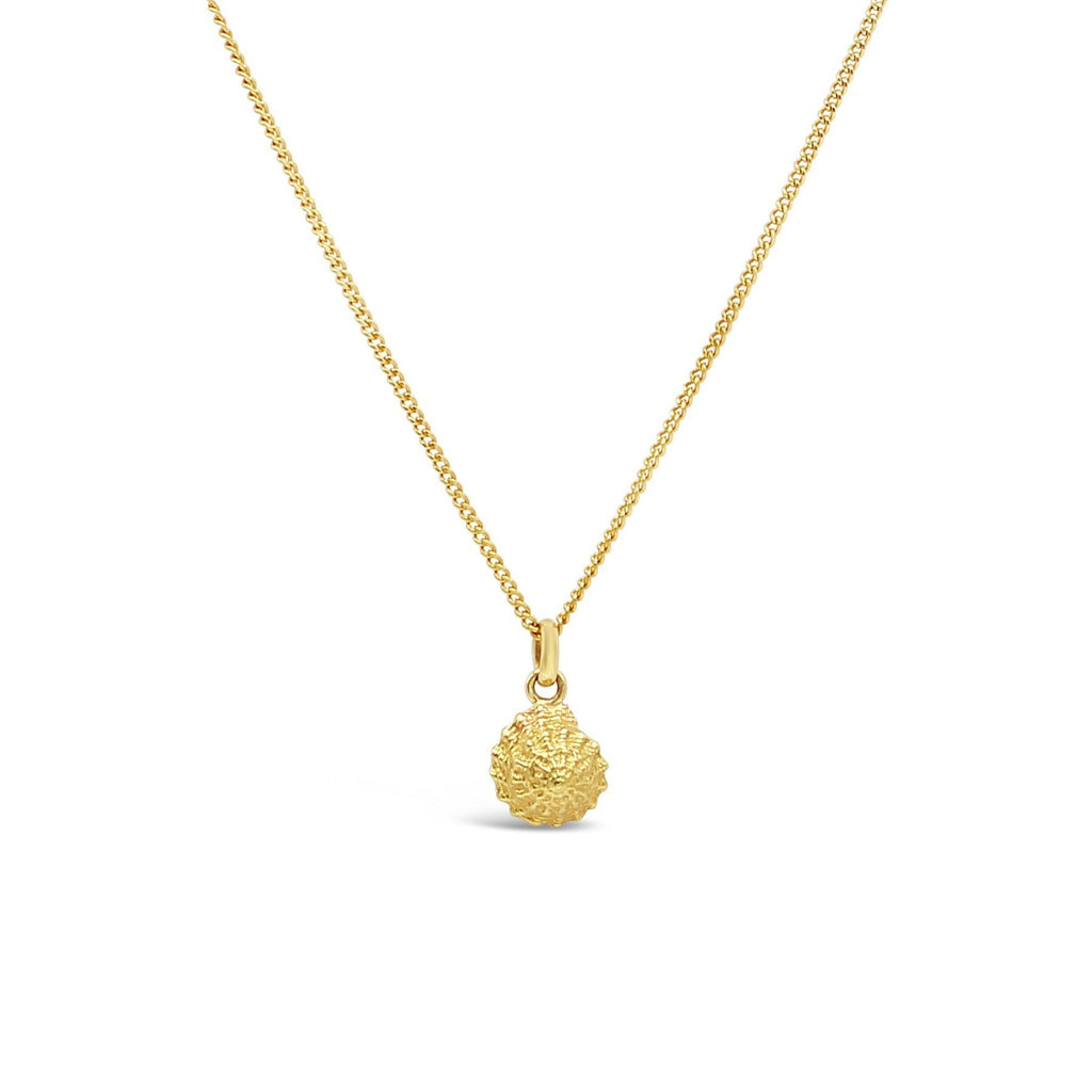 Enhance your style with our exquisite 9ct yellow gold spiral 2 shell pendant from Latitude Jewellers.