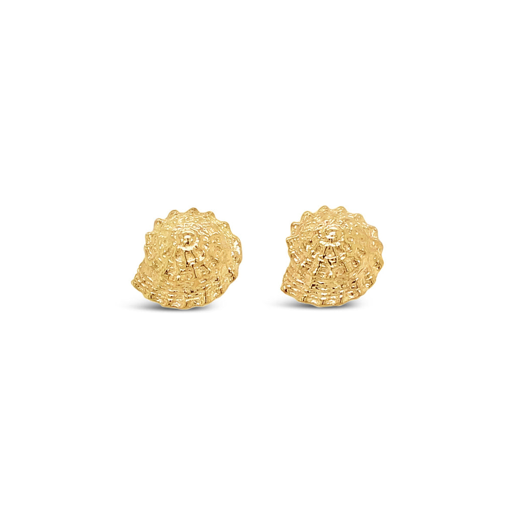 Elevate your style with our exquisite 9ct yellow gold Latitude Button Shell Earrings. Perfect for adding a touch of elegance to any outfit.