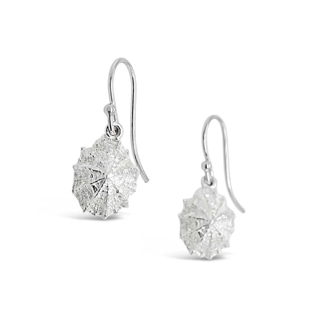 Limpet Shell Earrings in Sterling Silver