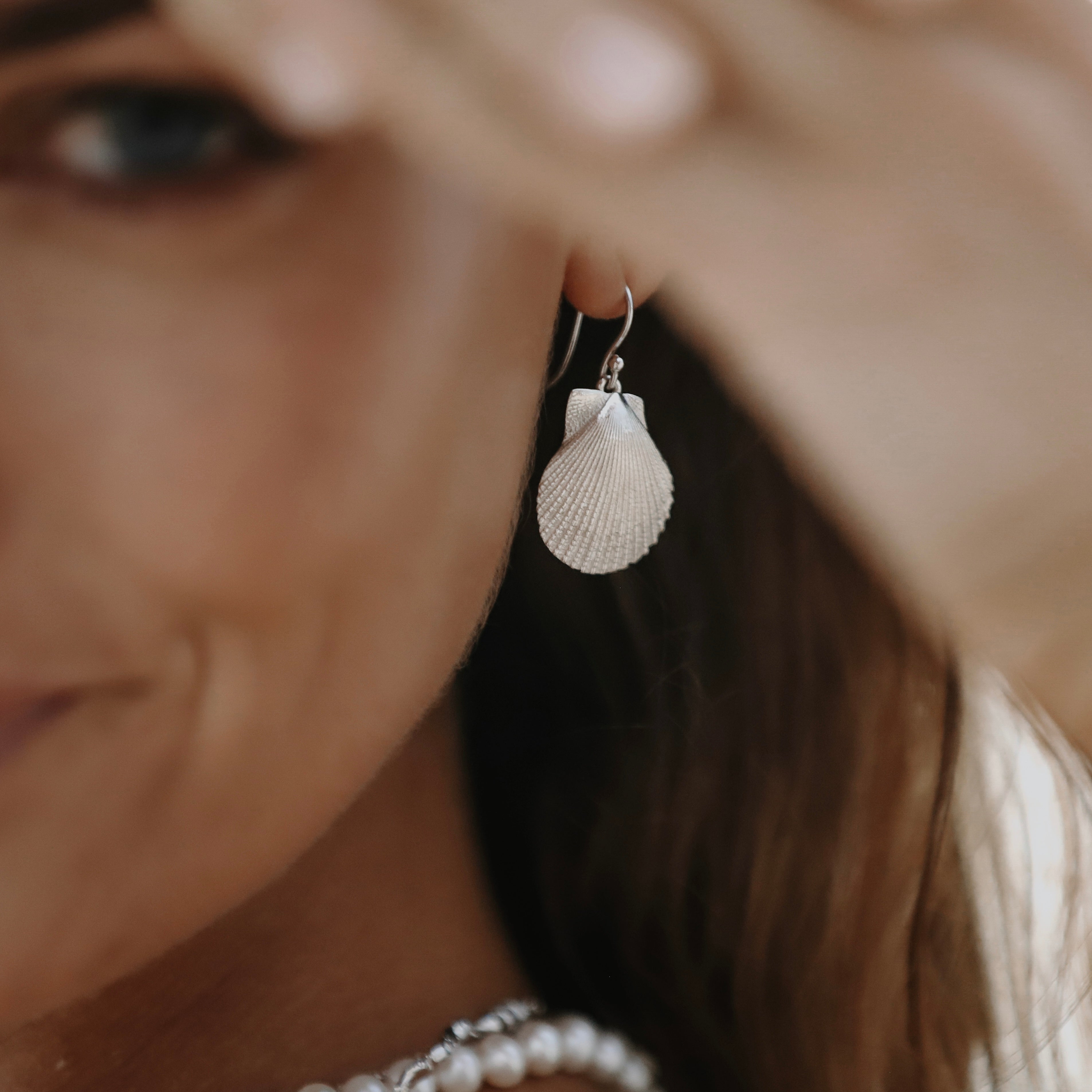 Scallop Earrings Silver Latitude Jewellers